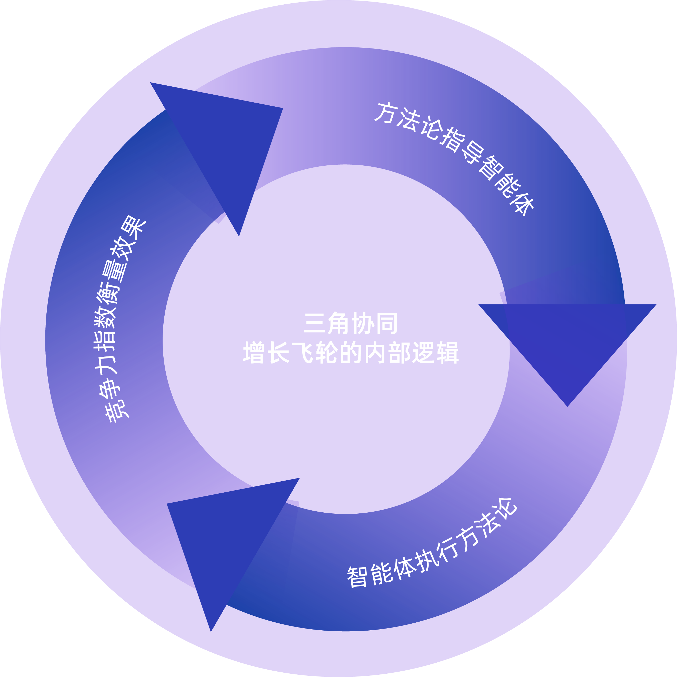 扬光数科品牌解决方案
